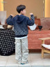 Худи Louis Vuitton, 470107949